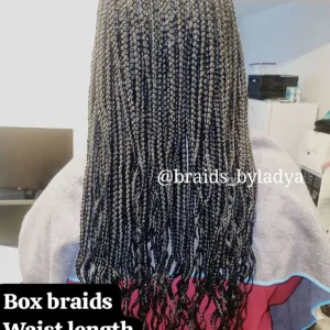 London Box braids, Goddess, Knotless Braids etc - Image 2