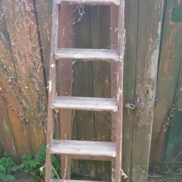 vintage wooden ladders