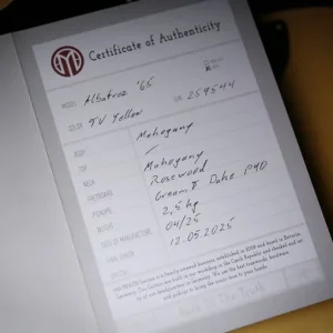 Maybach Albatroz 65 TV Yellow Aged - Image 2