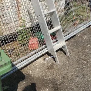 Loft ladder never used. - Image 4