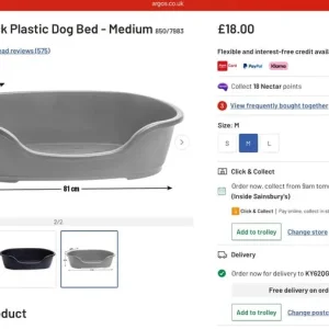 PLASTIC DOG BED - MEDIUM SIZE - Image 3