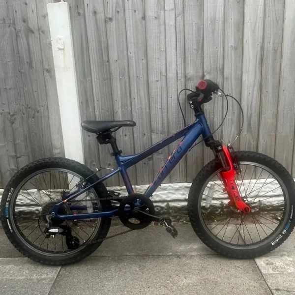 Carrera blast childrens mountain bike