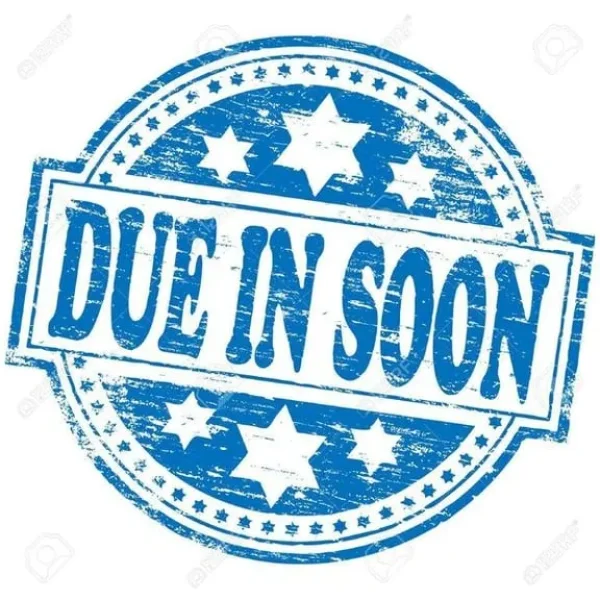 2020 Ford Transit Connect 230 Leader EcoBlue L2 Crew Van Diesel Manual