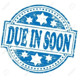 2020 Ford Transit Connect 230 Leader EcoBlue L2 Crew Van Diesel Manual