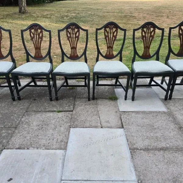 REFURBISHED Set of 6 Vintage Hepplewhite DINING CHAIRS Green Ticking Seats - Possible Local Delivery
