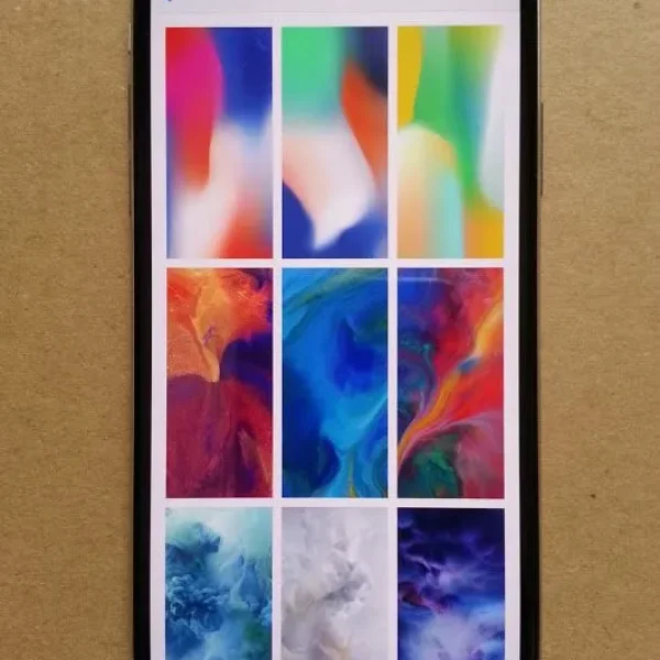 Apple iPhone X (64GB Memory) *Unlocked* in Perfect Working Condition