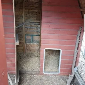 Large wooden chicken coop/dog kennel - Image 4