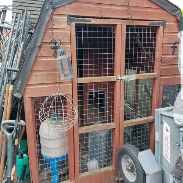 Large wooden chicken coop/dog kennel