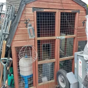 Large wooden chicken coop/dog kennel