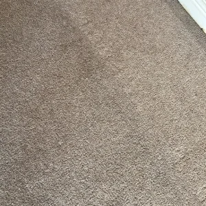 All house carpet - Image 2