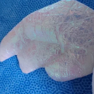 Halo the Angel Bear TY beanie baby - Image 5