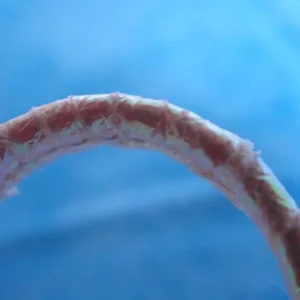 Halo the Angel Bear TY beanie baby - Image 6