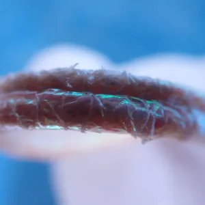 Halo the Angel Bear TY beanie baby - Image 7