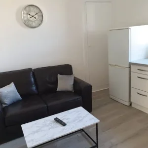 1 BED FULLY FURNISHED FLAT IN ROSEMOUNT - Image 2