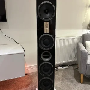 Triangle Signature Alpha tower speakers