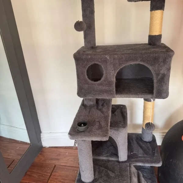 Cat Tower tree