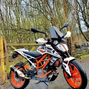 KTM, DUKE, 2017, 373 (cc) - Image 3