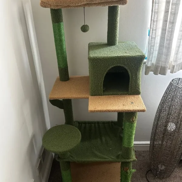 Cactus cat tower only used for 6 months