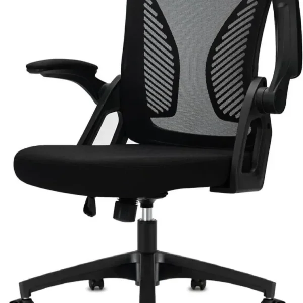 Durrafy Ergonomic Office Chair Black