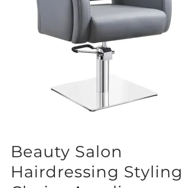 Salon chair