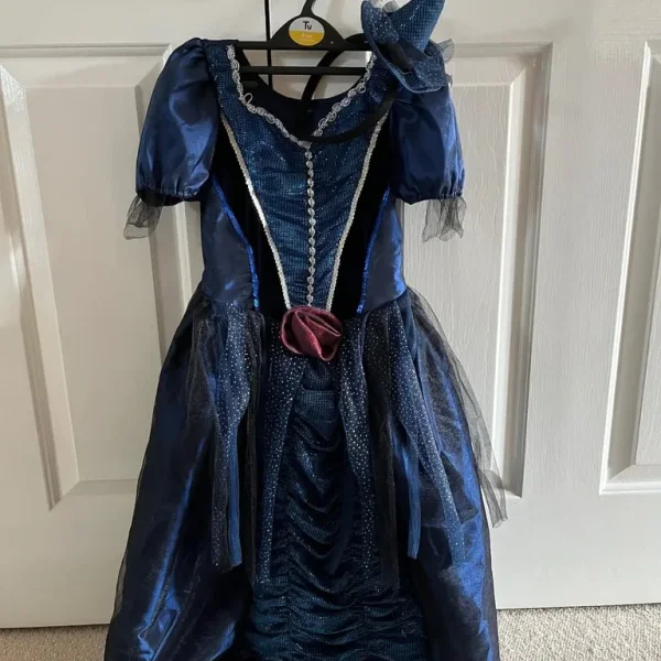 Disney Dressing Up Fancy Dress Costume