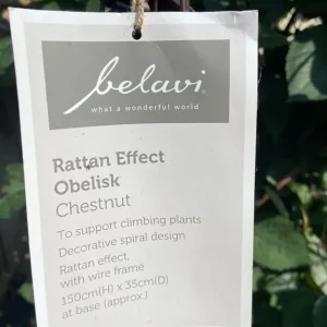 Brand new rattan effect climbing plant obelisk - Image 3