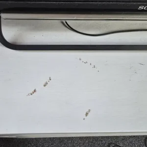 Chest of drawers - Image 4