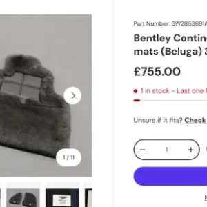 Genuine Bentley Continental front car mats - Image 6