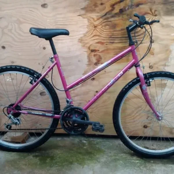 Ladies bike