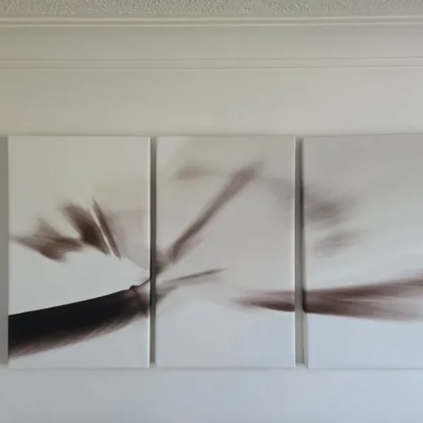 Set of 3 modern abstract canvas