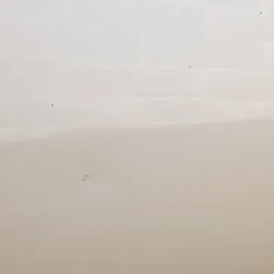 C3 pluriel ns door - Image 2