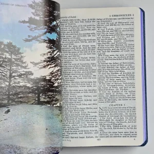 1951 Antique Masonic Bible KJV Authorise Version Like New with Box - Image 5