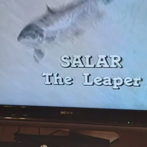 "SALAR THE LEAPER"(DVD) - Image 3
