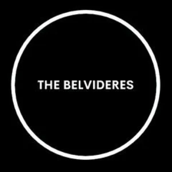 Bass player, The Belvideres