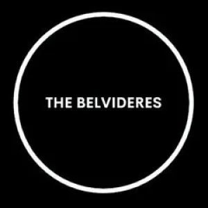 Bass player, The Belvideres