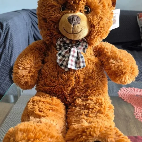 Teddy Bear(New) with tag