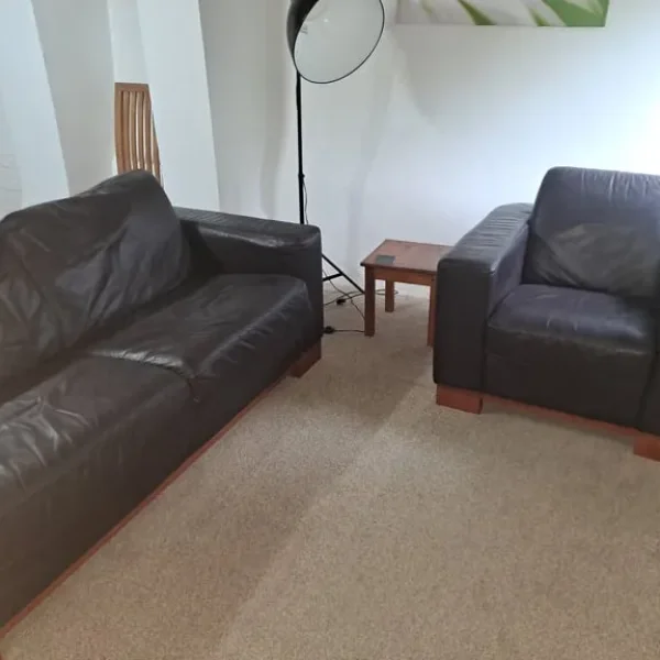 Leather Sofa Bed and Chair