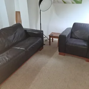 Leather Sofa Bed and Chair