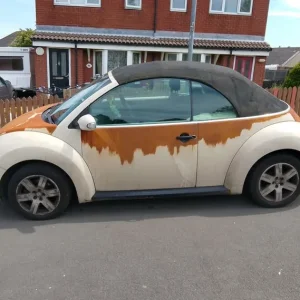 Volkswagen, BEETLE, Convertible, 2006, Manual, 1595 (cc), 2 doors - Image 2