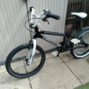 Redline Roam Vintage BMX bike - Image 2