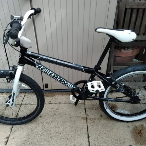 Redline Roam Vintage BMX bike