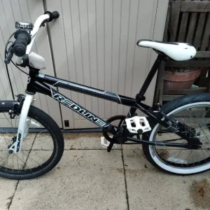 Redline Roam Vintage BMX bike