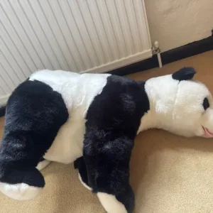 Giant Panda Bear - Image 2