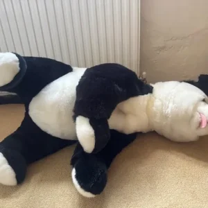 Giant Panda Bear - Image 4