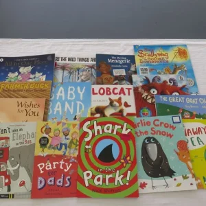 Bundle of 15 children's books - see photos
