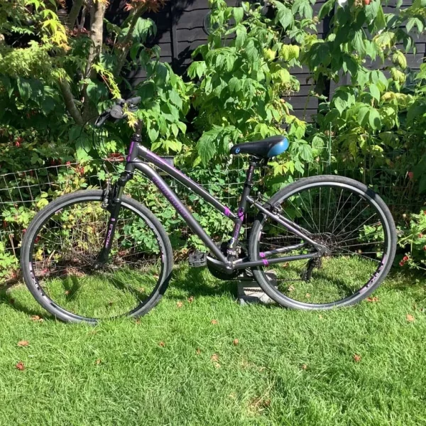 Bike Claude Butler Explorer