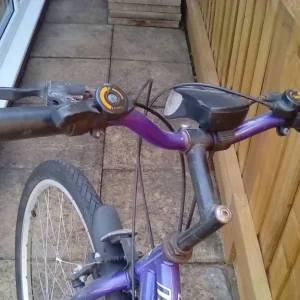 Ladies Rampage Universal Bicycle - Image 2