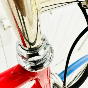 Sz BOTTECHIA Size/L Super LW Road Bike 12 Speed 700c Wheels - Image 8