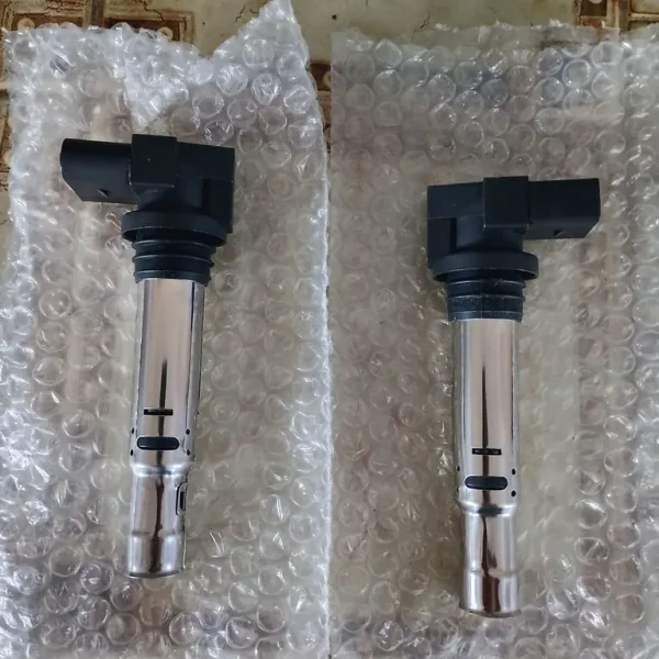 Coil pack x2 Seat Ibiza 1.2