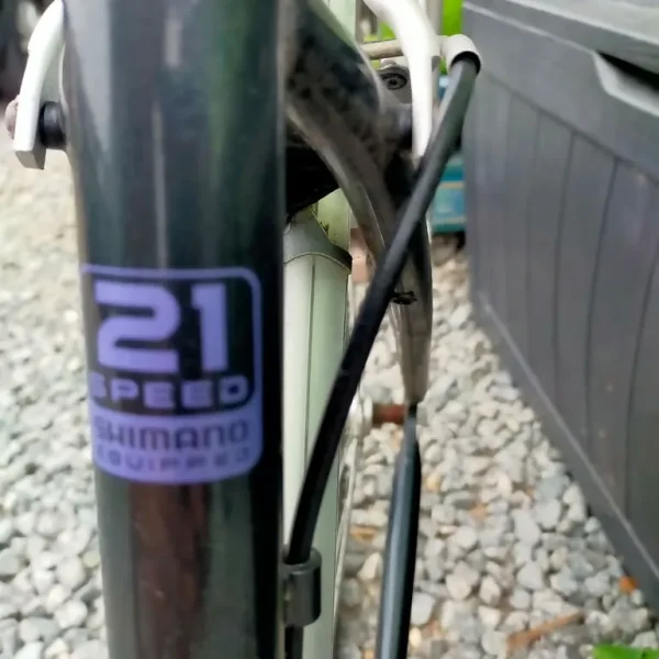 Indigo regency 21 speed ladies bike £80 no offers